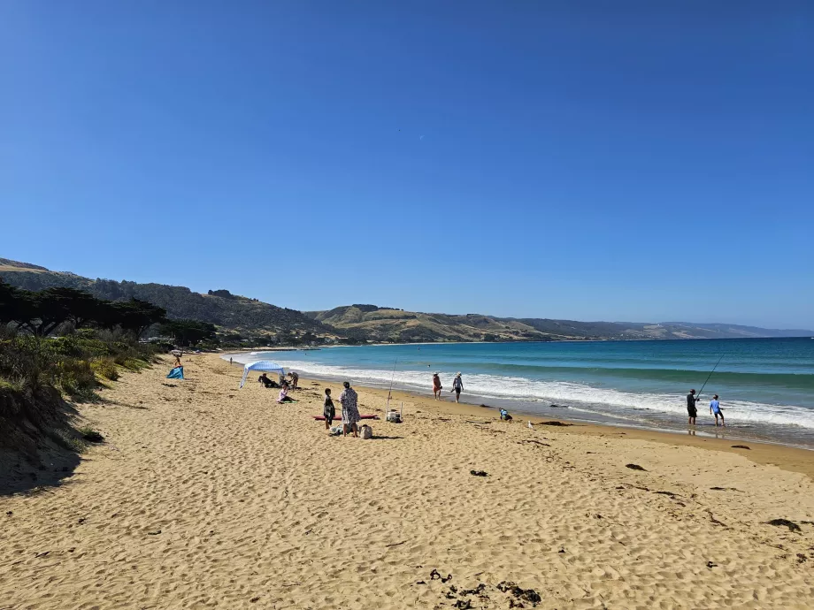 Spiaggia di Apollo Bay