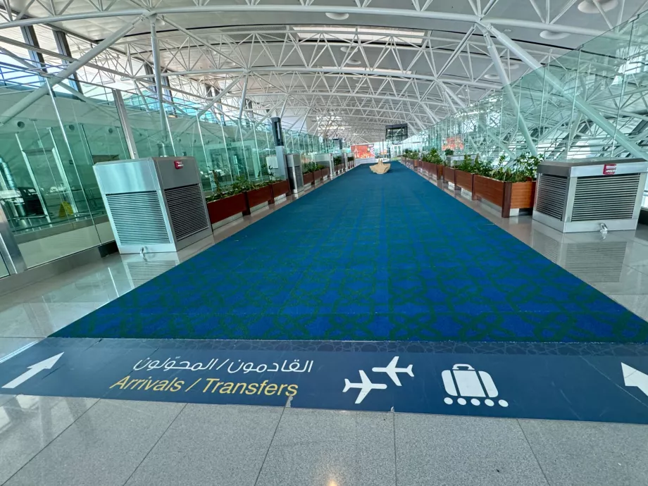 Arrivi e trasferimenti all'aeroporto di Salalah SLL