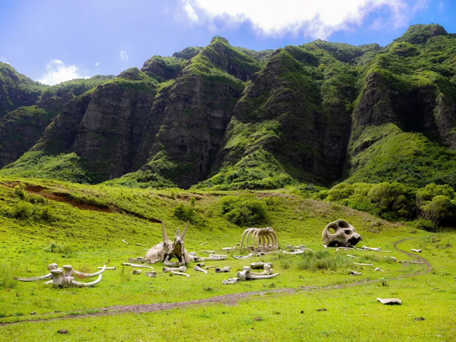 Ranch Kualoa