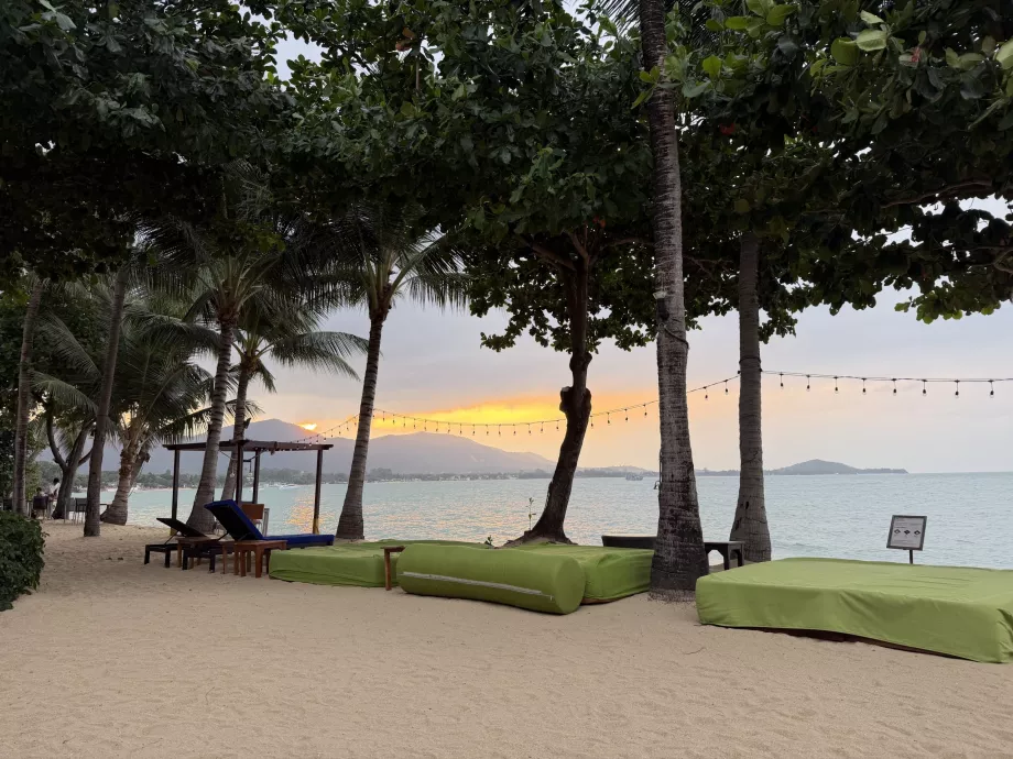 Spiaggia dell'hotel con lettini al tramonto