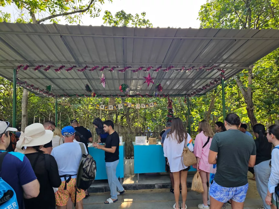 Check-in prima della partenza al molo (e pagamento dell'ingresso al parco nazionale)