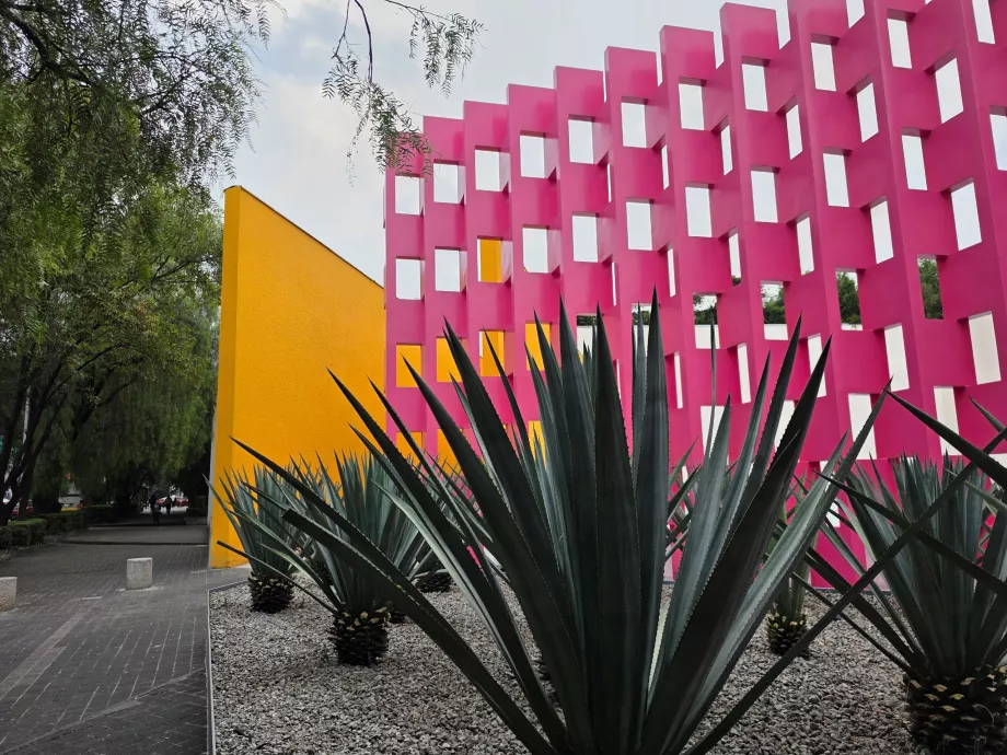 Parete Rosa