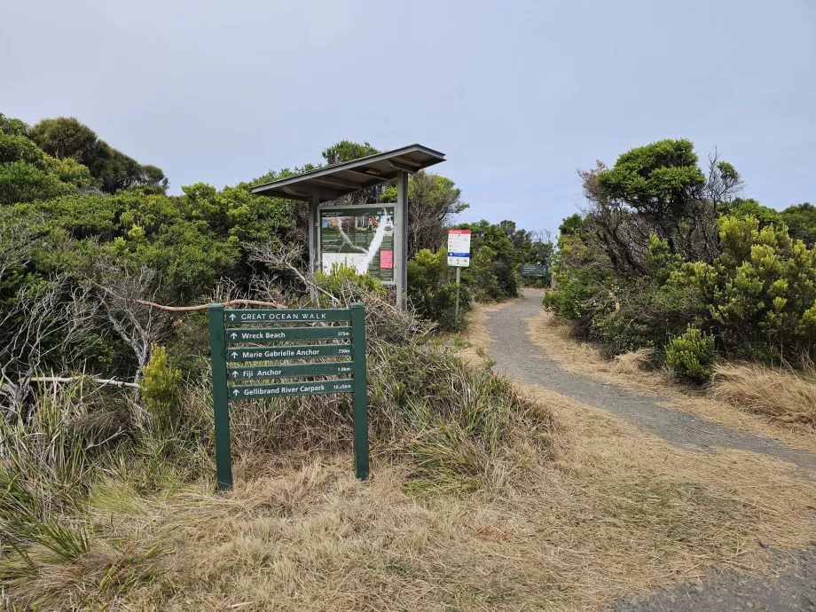 Grande passeggiata sull'oceano
