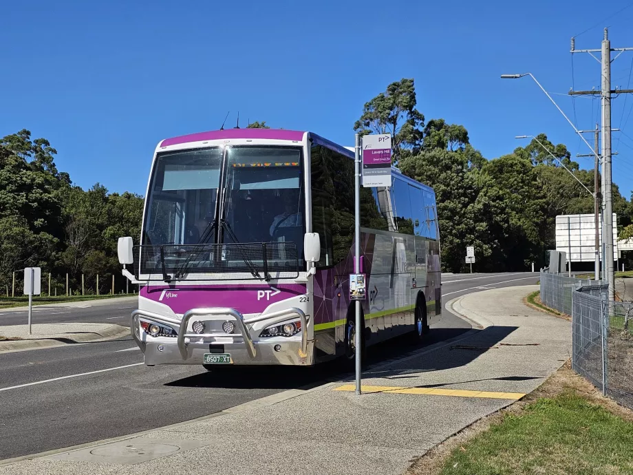 Autobus V/Linea