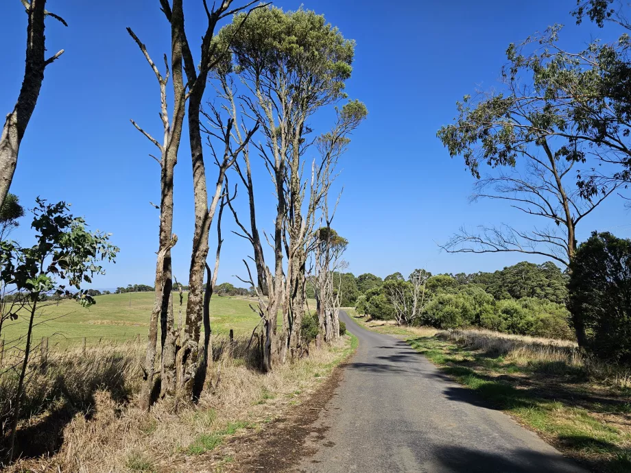 Parco Nazionale Great Otway