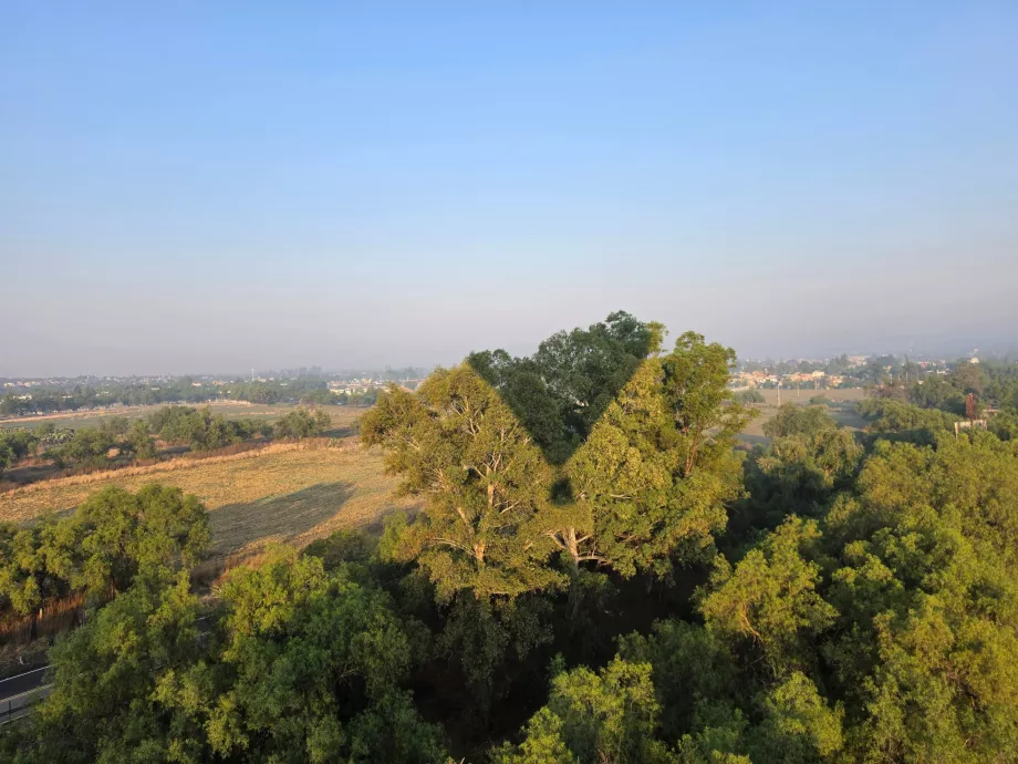 Volo sulle cime degli alberi