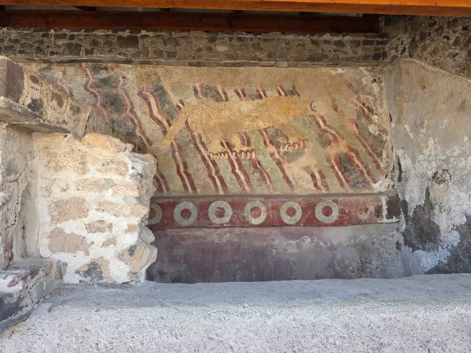Murale di un puma