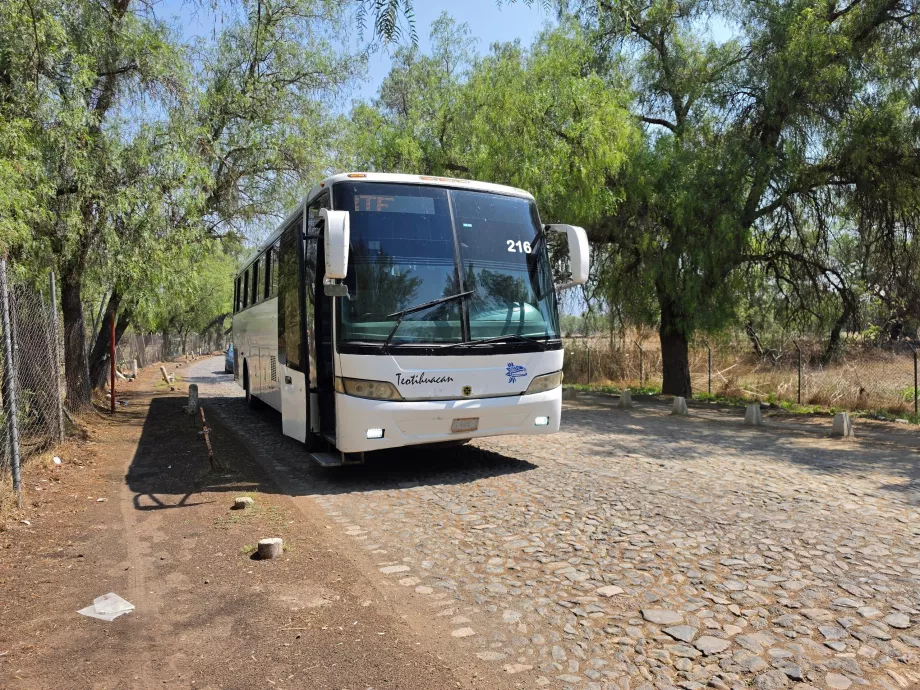 Autobus Teotihuacán <-> Città del Messico