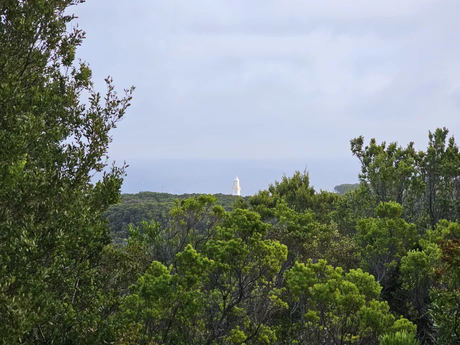 Una delle poche vedute del faro dalla Great Ocean Walk