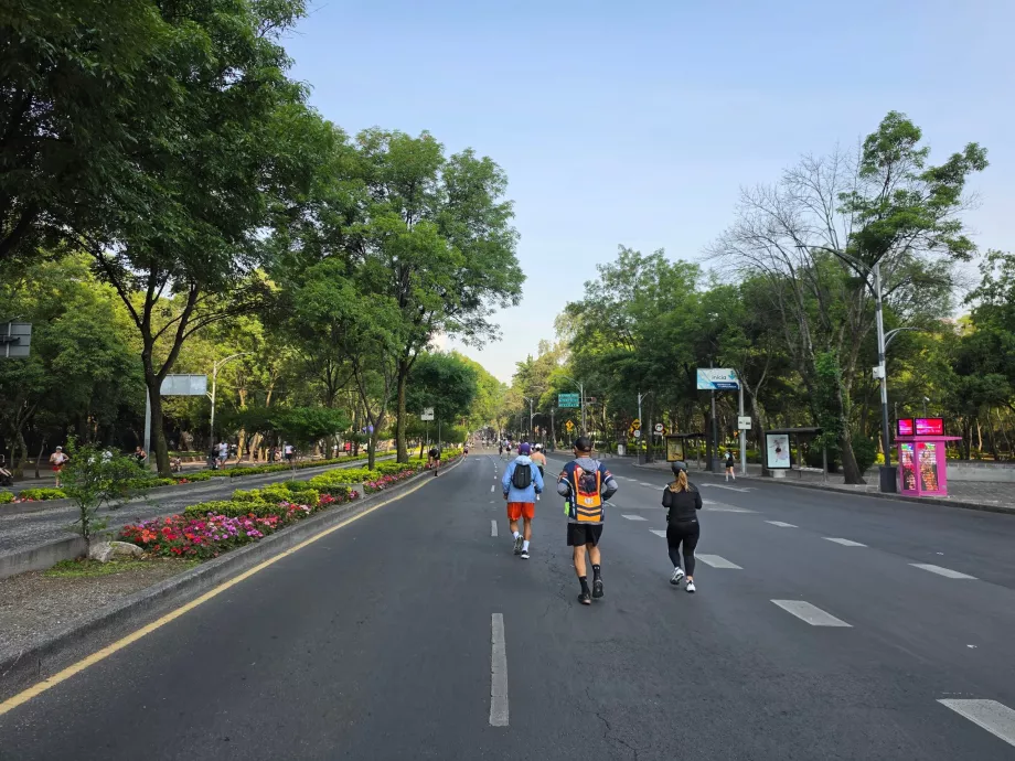 Una corsa domenicale mattutina a Città del Messico