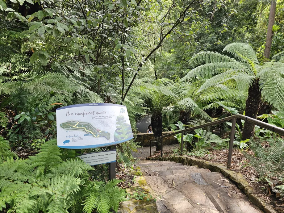 Giardino botanico