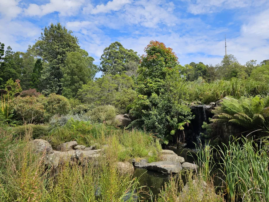 Giardino botanico