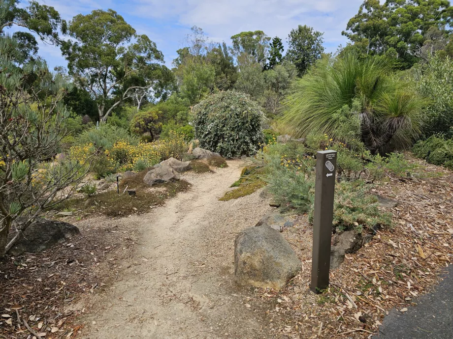 Giardino botanico