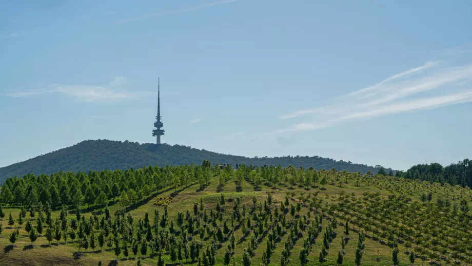 Arboreto nazionale