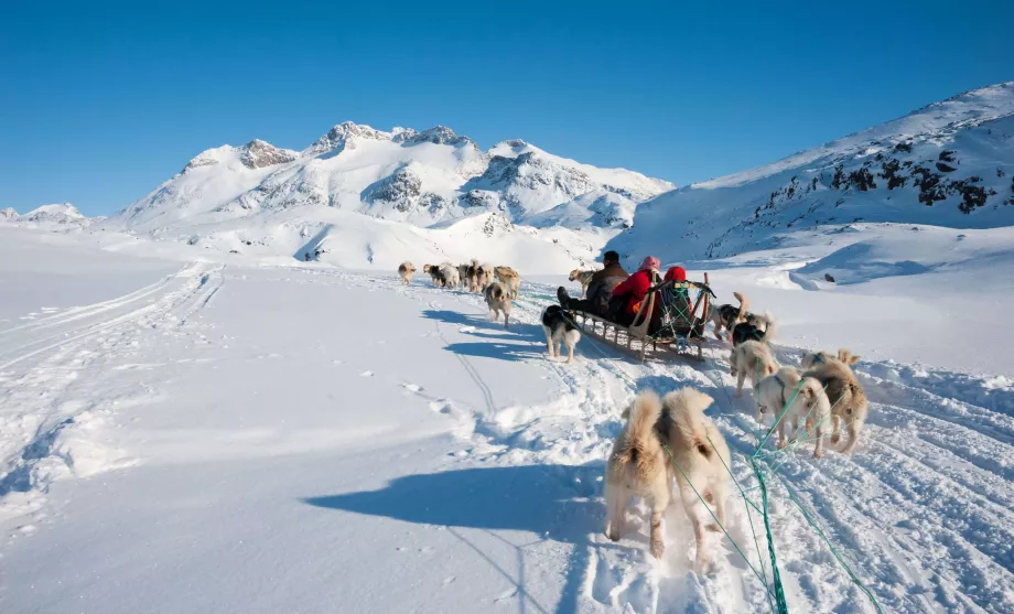 Slitta trainata da cani in Groenlandia