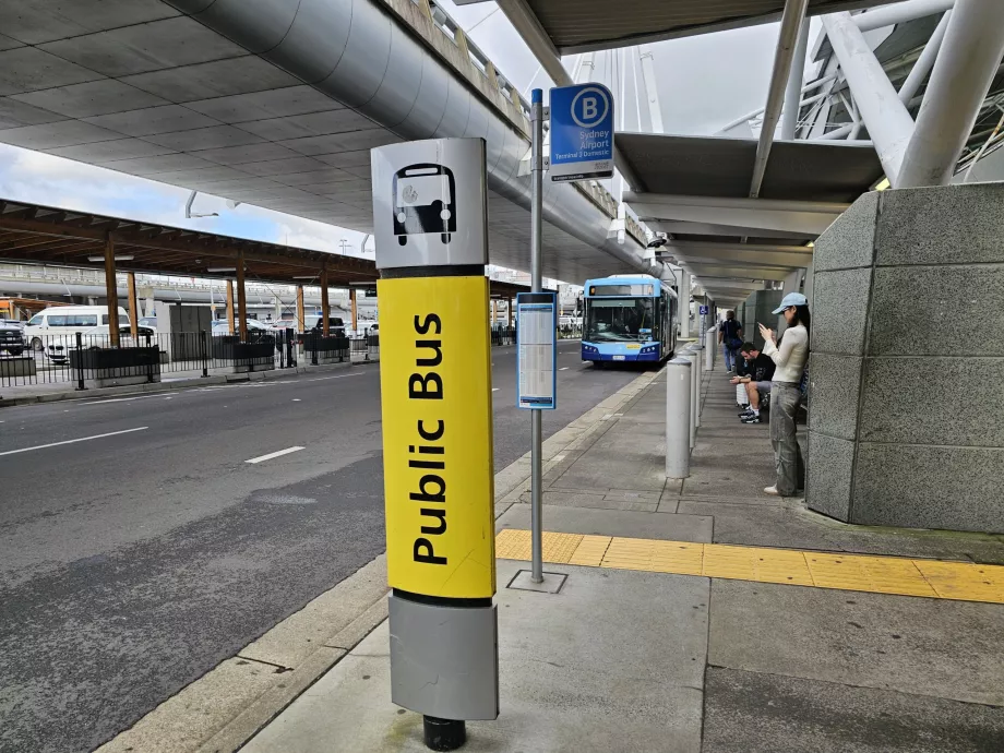 Fermata dell'autobus urbano, Terminal 3