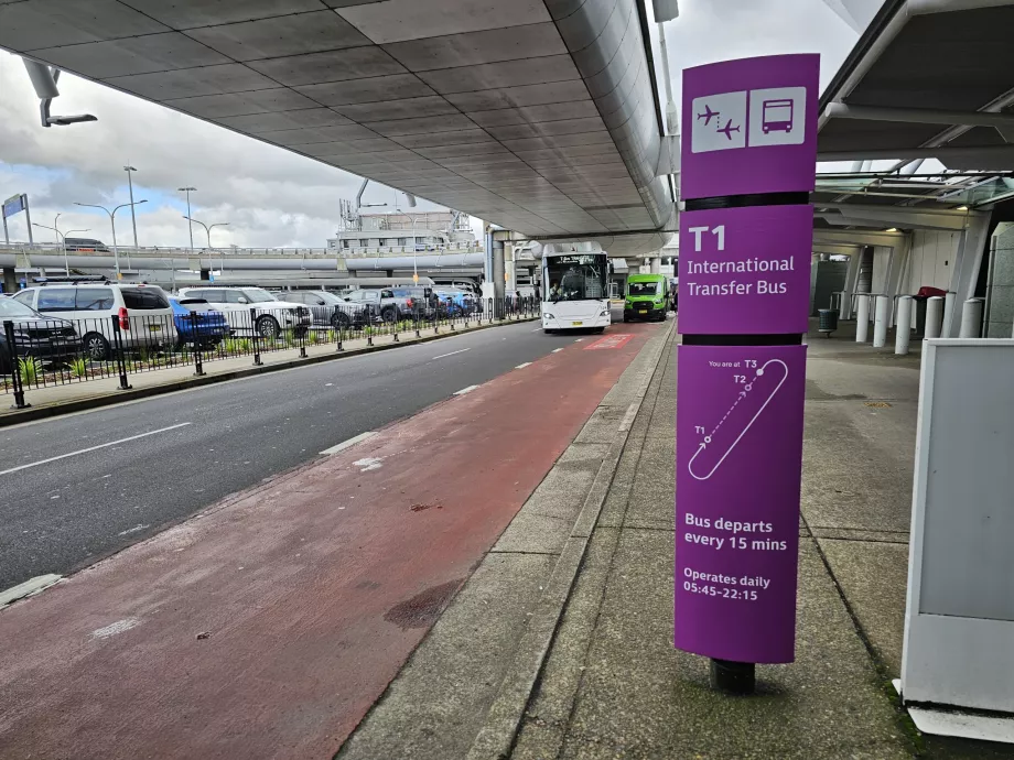 Fermata del bus navetta, Terminal 3