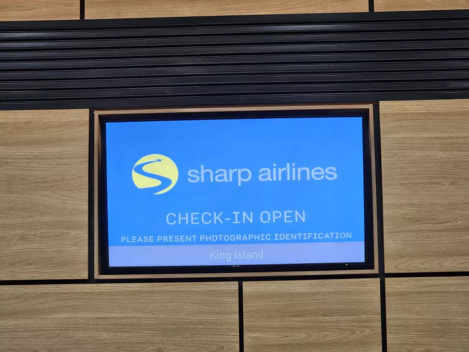 Check-in in aeroporto