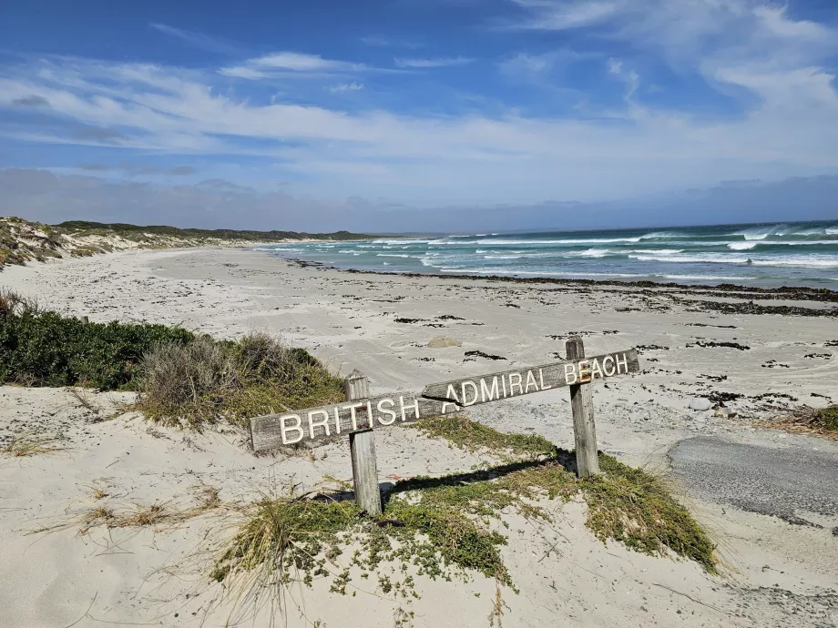 Ammiraglio britannico Beach