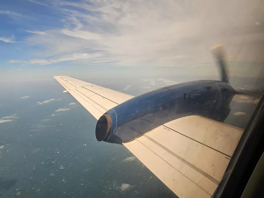 Rex, lasciare che l'Isola del Re - Burnie