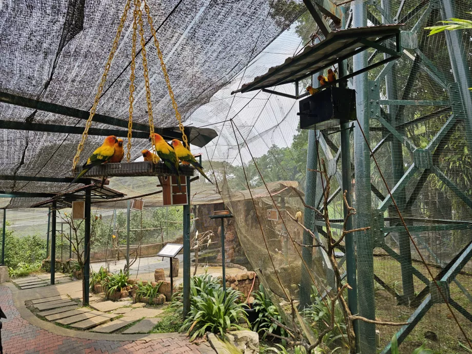 Parco degli uccelli