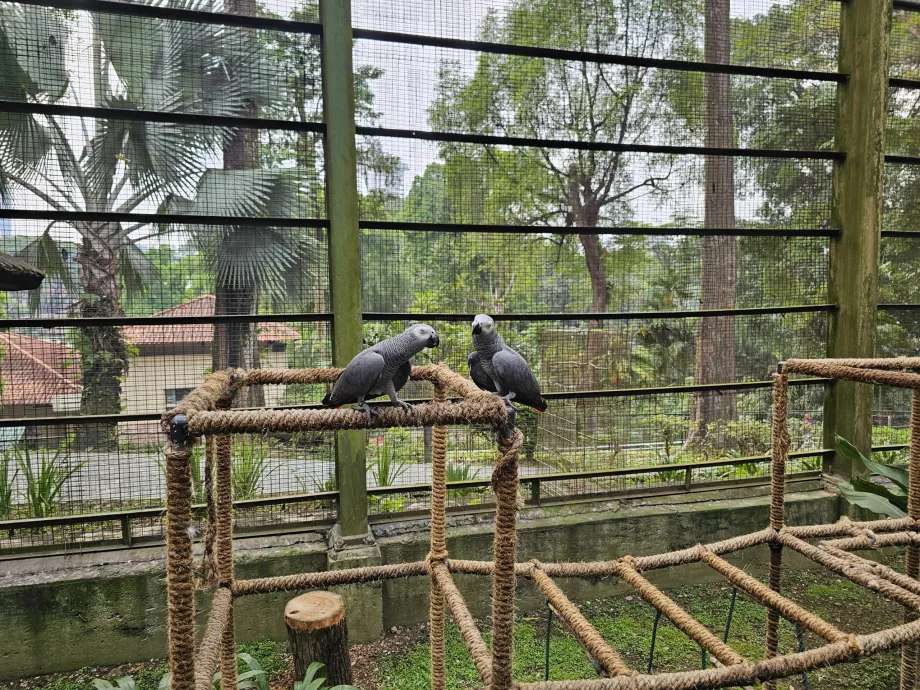 Parco degli uccelli