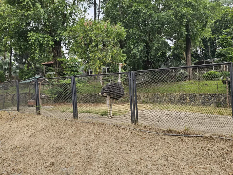 Parco degli uccelli