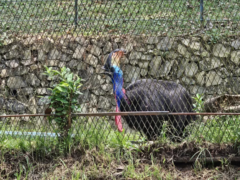 Parco degli uccelli