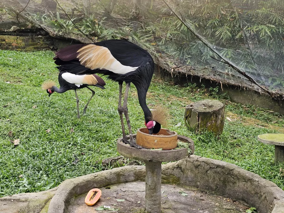 Parco degli uccelli
