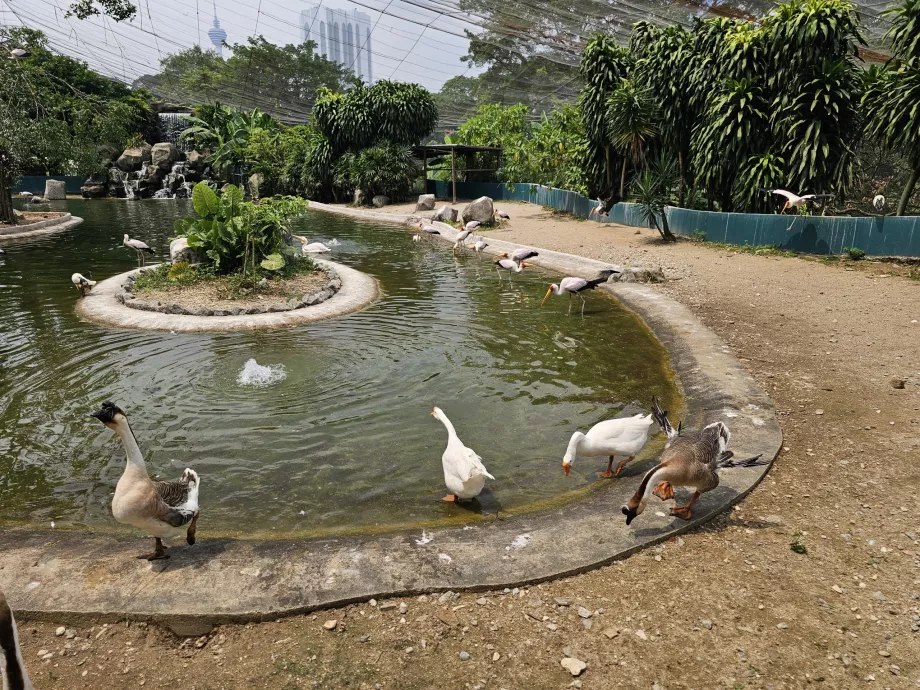 Parco degli uccelli