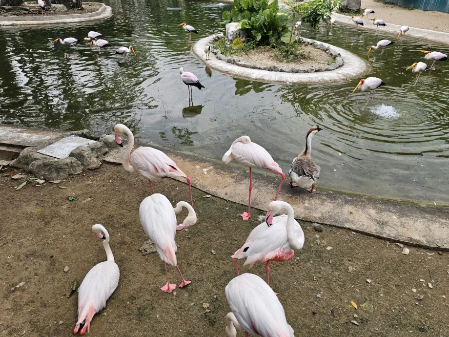 Parco degli uccelli