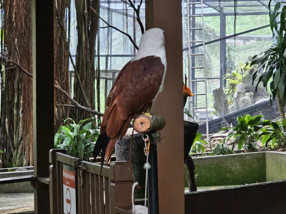 Parco degli uccelli