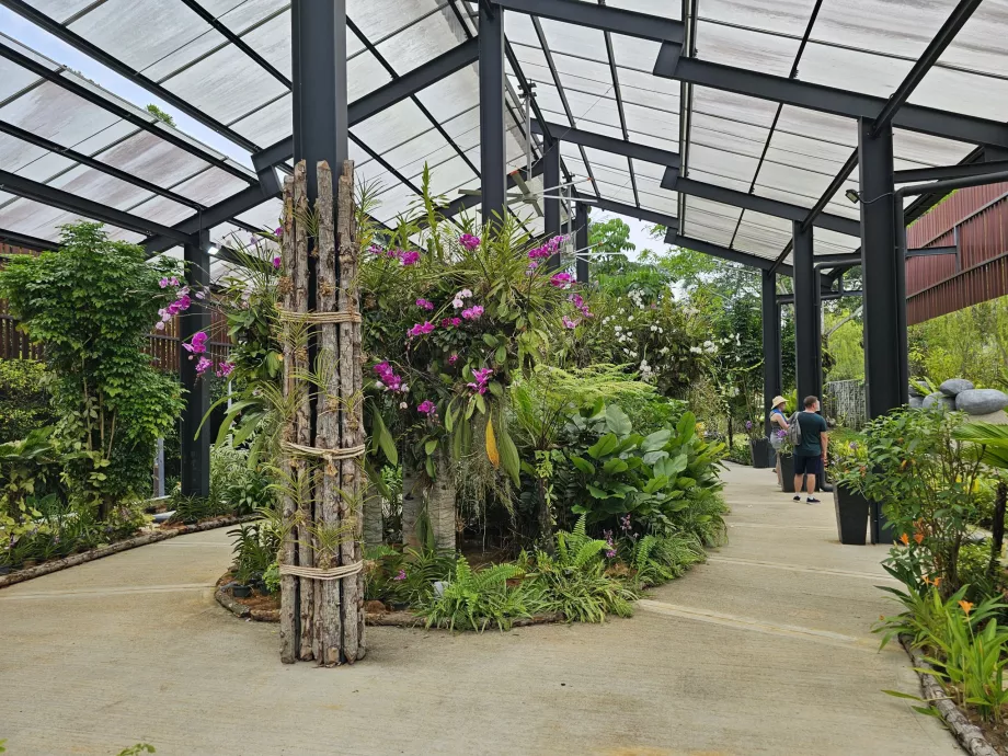 Giardino delle orchidee
