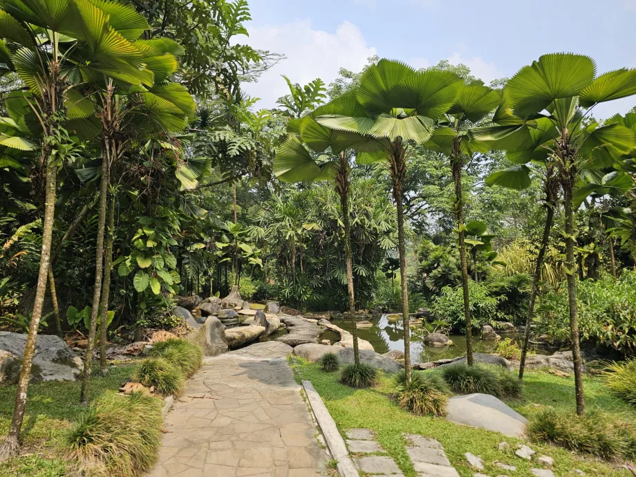 Giardino botanico