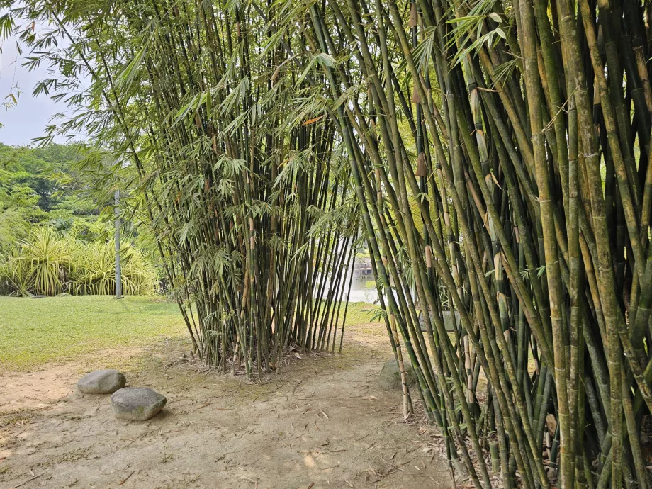 Giardino botanico
