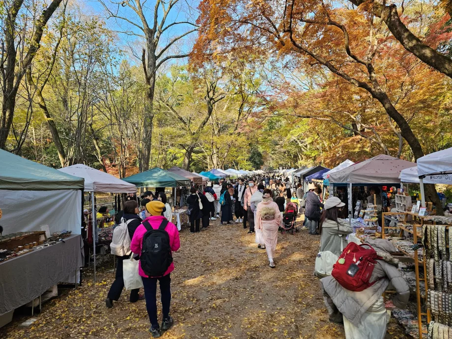 La strada per il Santuario di Shimogamo