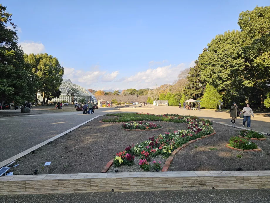 Giardino botanico di Kyoto