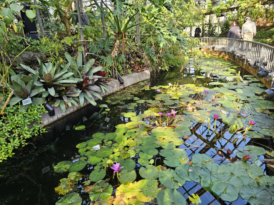 Giardino botanico di Kyoto