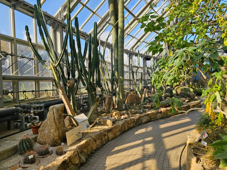 Giardino botanico di Kyoto