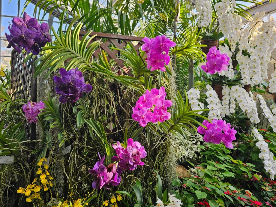 Giardino botanico di Kyoto