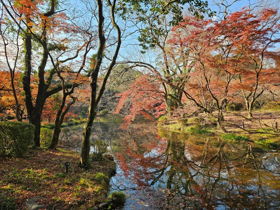 Giardino botanico di Kyoto