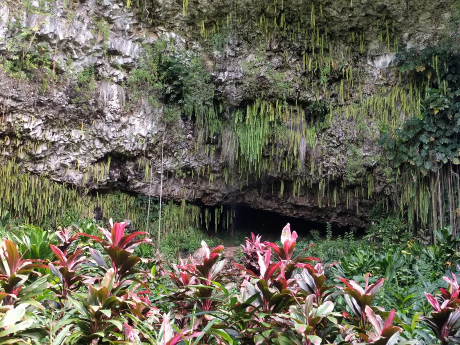 Grotta delle felci