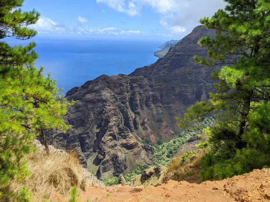 Vista su Kauai