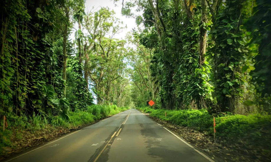 Strada Kauai