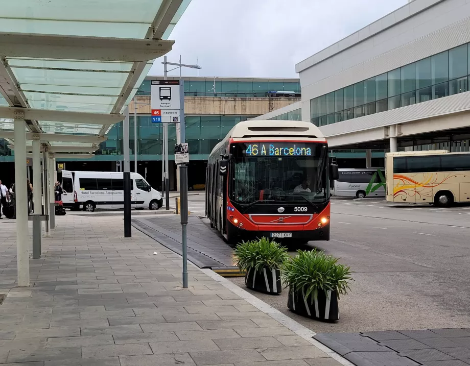 Fermata dell'autobus 46 al Terminal 1