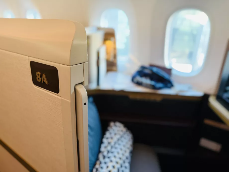 Il mio sedile 8A con il dettaglio della porta