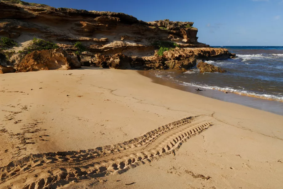 Spiaggia di Moomomi
