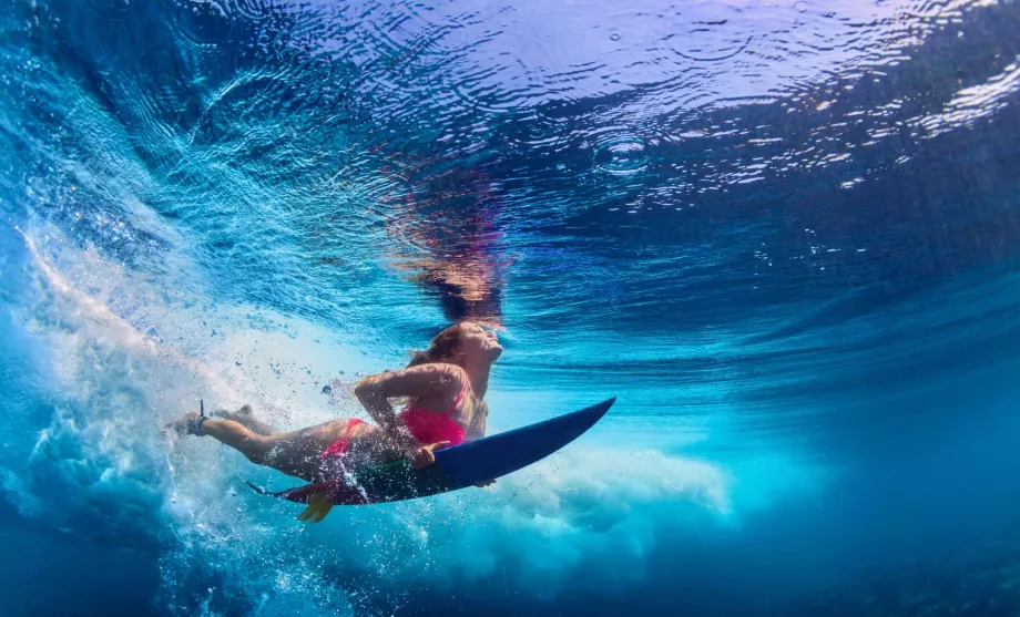 Surfista