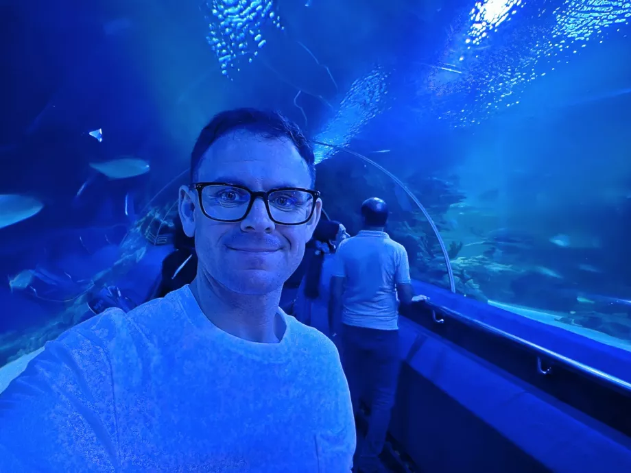 Io nel tunnel subacqueo, Aquaria