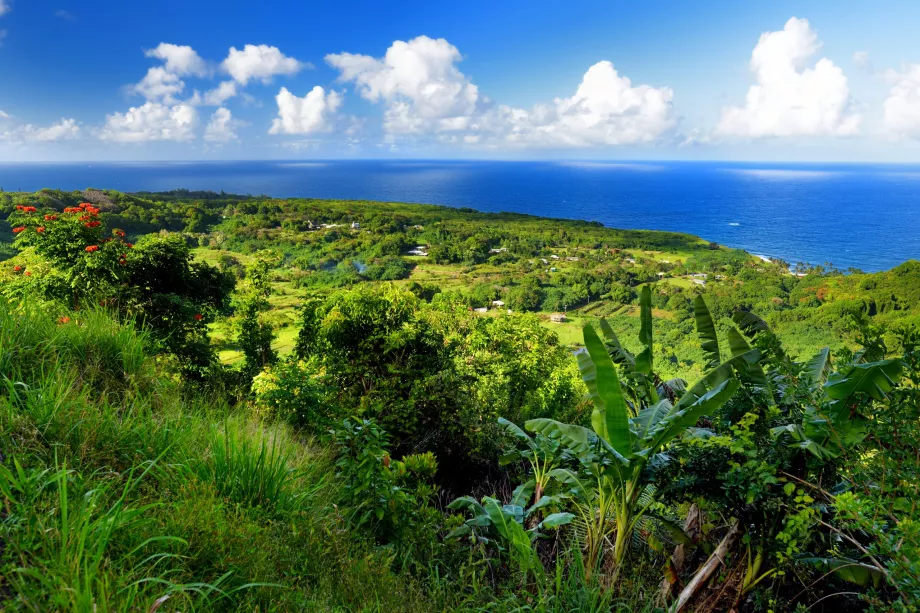Maui Costa Nord